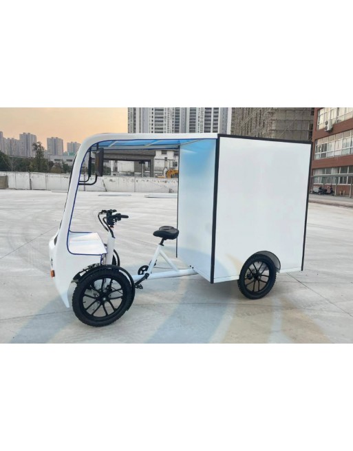 KidsCab Quadricycle cargo bike with box
