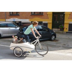 Scandinavian sidecar bike Fiber