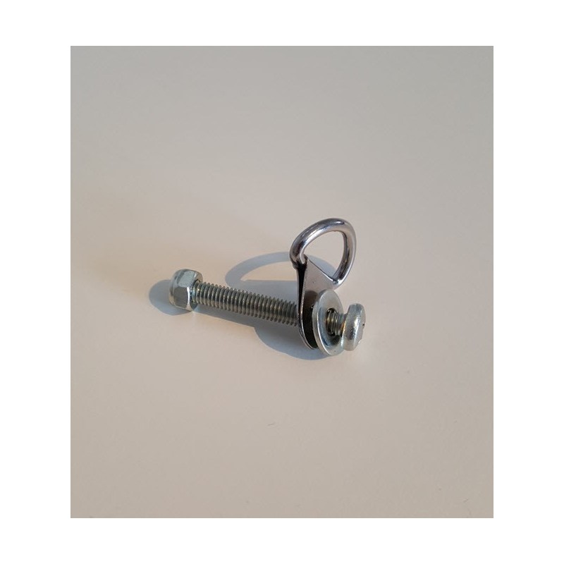 Bolt with D-ring for safety strap hitch arm