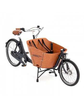 Babboe Mini-E cargo bike