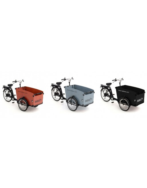 Babboe E-City,biporteur électrique pour transport d'enfants avec moteur  arrière