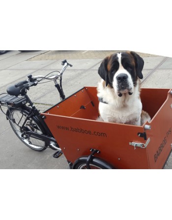 Politieagent Banzai Sloppenwijk Babboe Dog electric dog cargo bike